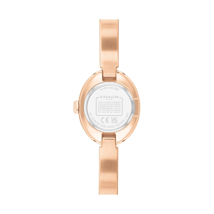 Women Sammy Analogue Watch 14504531