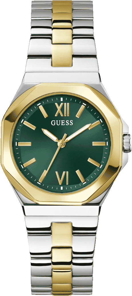 Women Quartz Green Dial Analog Stainless Steel Watch GW0873L4
