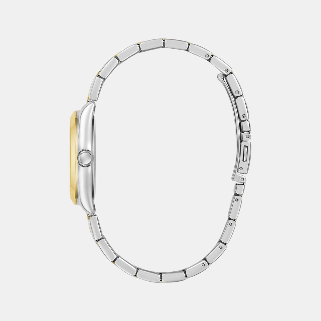 Alice Women Quartz Green Dial Analog Recycled Steel Watch GW0934L3