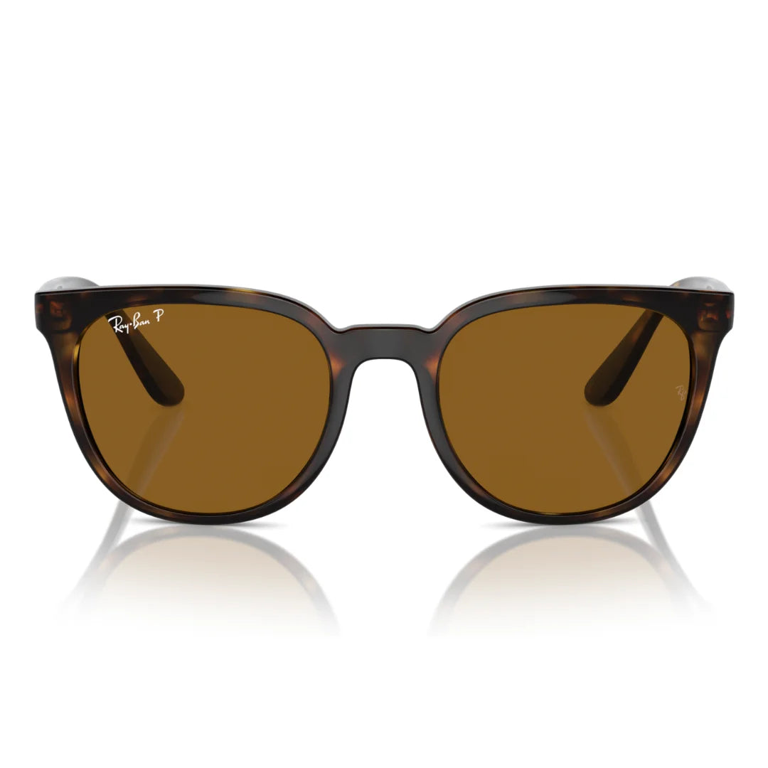 Ray-Ban 4381I Sunglass