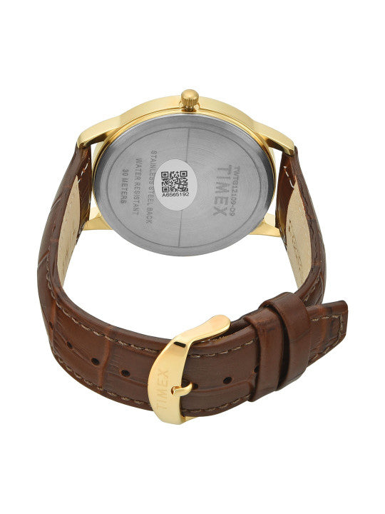Men Brass Dial & Straps Analogue Watch TWTG12109