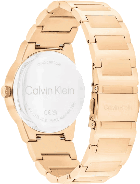 Ck Linear Elegance Women Quartz Black Dial Analog Stainless Steel Watch 25100086