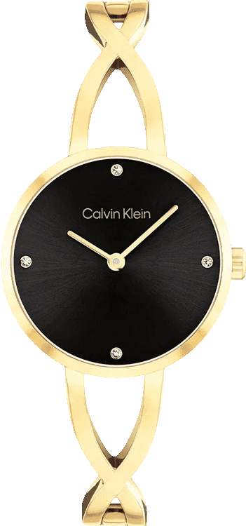 Sculpted Embrace Women Quartz Black Dial Analog Stainless Steel Watch 25100059