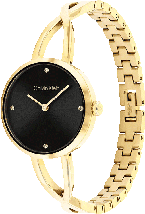 Sculpted Embrace Women Quartz Black Dial Analog Stainless Steel Watch 25100059