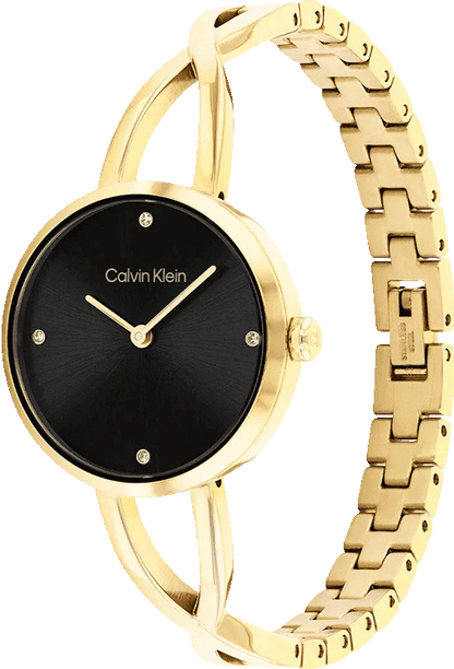 Sculpted Embrace Women Quartz Black Dial Analog Stainless Steel Watch 25100059