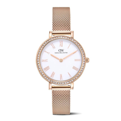 Women Quartz Silver Dial Analog Stainless Steel Watch DW0DL3201