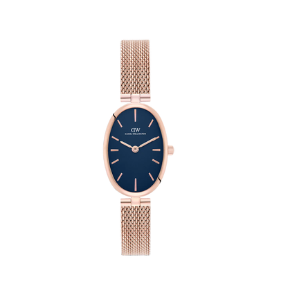 Women Quartz Blue Dial Analog Stainless Steel Watch DW0DL3000