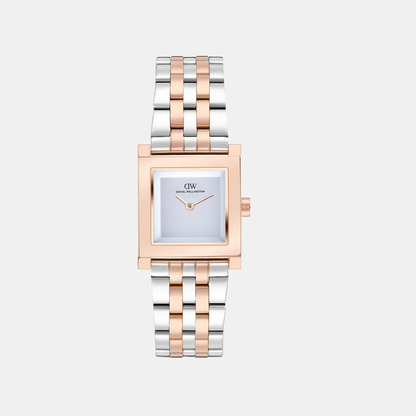 Women Quartz Silver Dial Analog Stainless Steel Watch DW0DL2800