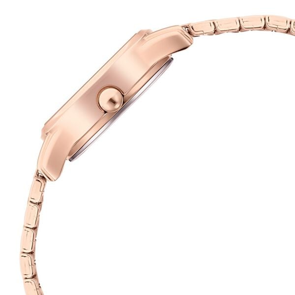 Titan Women's Lagan Watch: Rose Gold Accents & Refined Elegance - 25 mm Dial Size - Small Dial