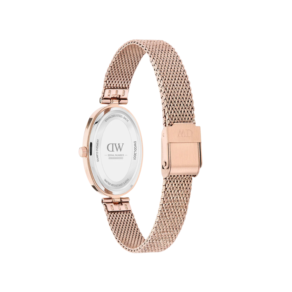 Women Quartz Burgundy Dial Analog Stainless Steel Watch DW0DL3001