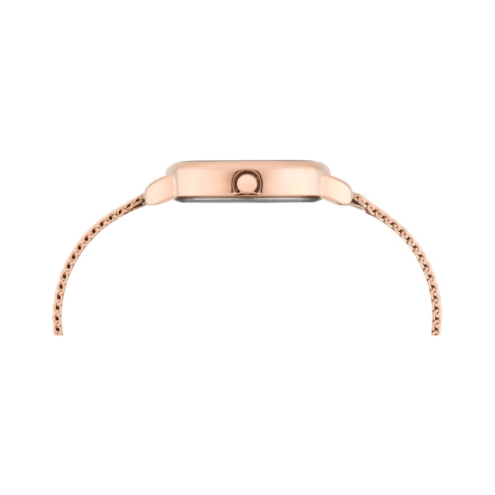 Trendline Women Quartz Dial Analog Stainless Steel Watch TWTL16501T