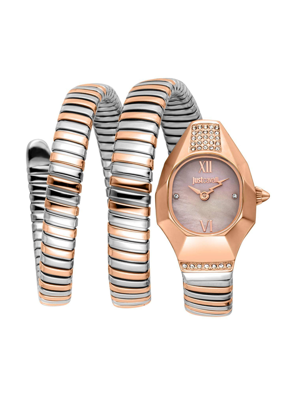 Just Cavalli Lunara JC1L397M0105 front view