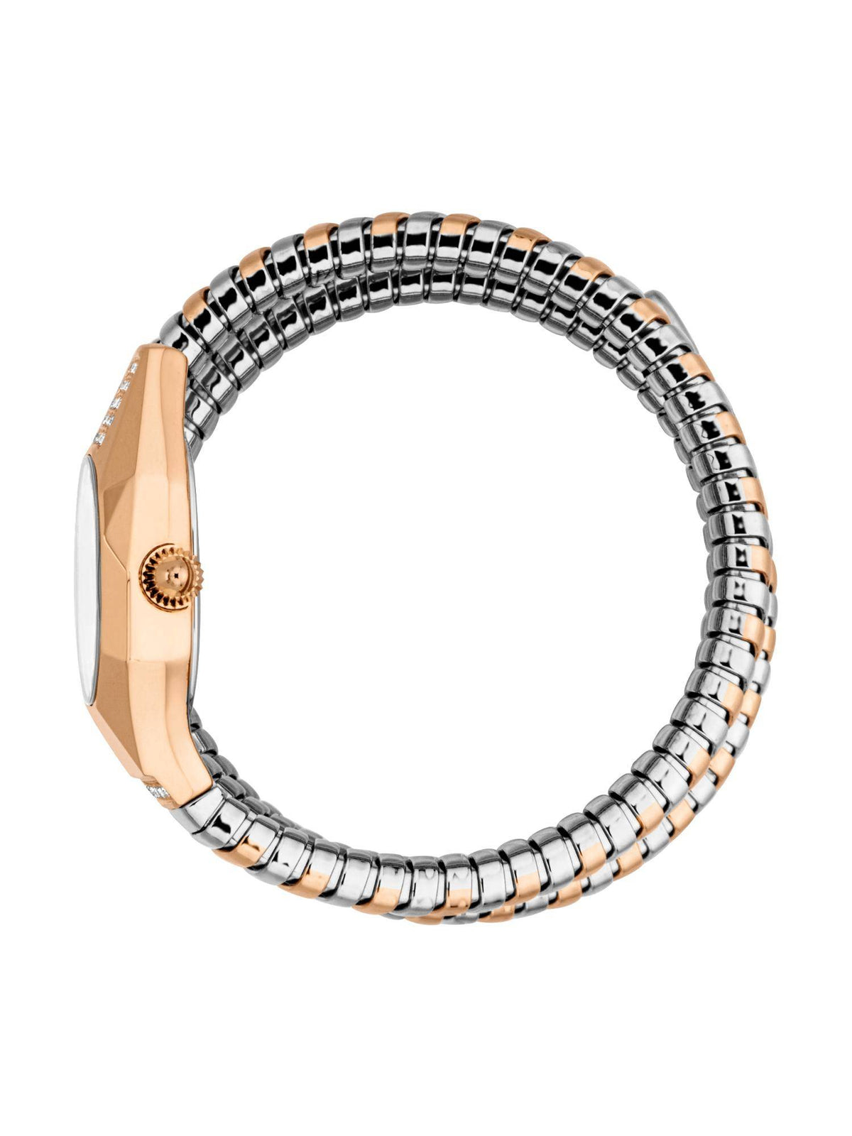 Just Cavalli Lunara JC1L397M0105 alternate view