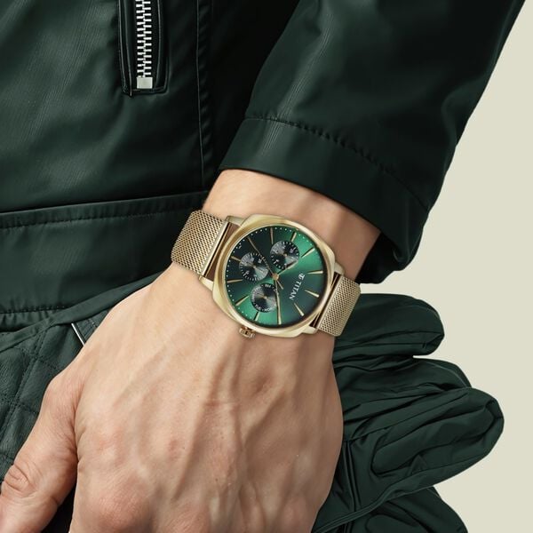 Titan Classique Suave Quartz Green Dial Golden Stainless Steel Mesh Strap Watch for Men