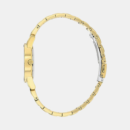 Axiom Women Eco-Drive Black Dial Analog Stainless Steel Watch GA1052-55E