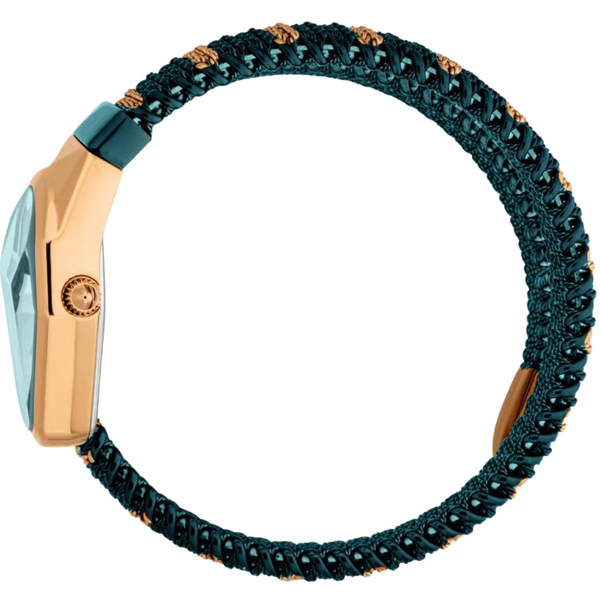Just Cavalli Gioia JC1L455M0095 alternate view