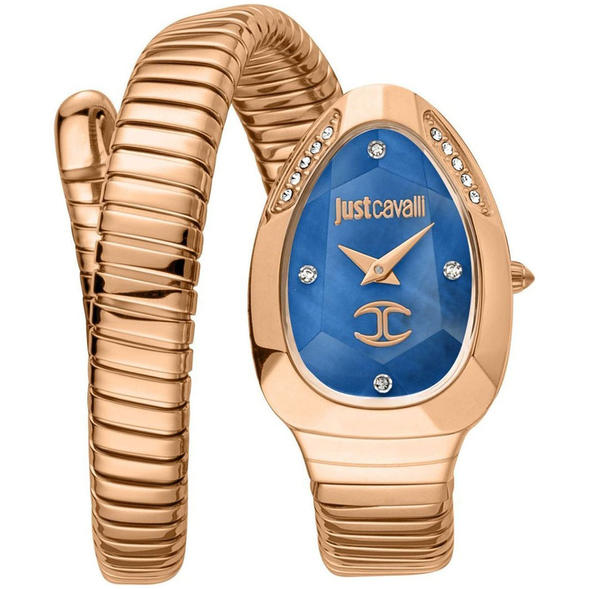 Just Cavalli Glam Evo JC1L229M0055 front view