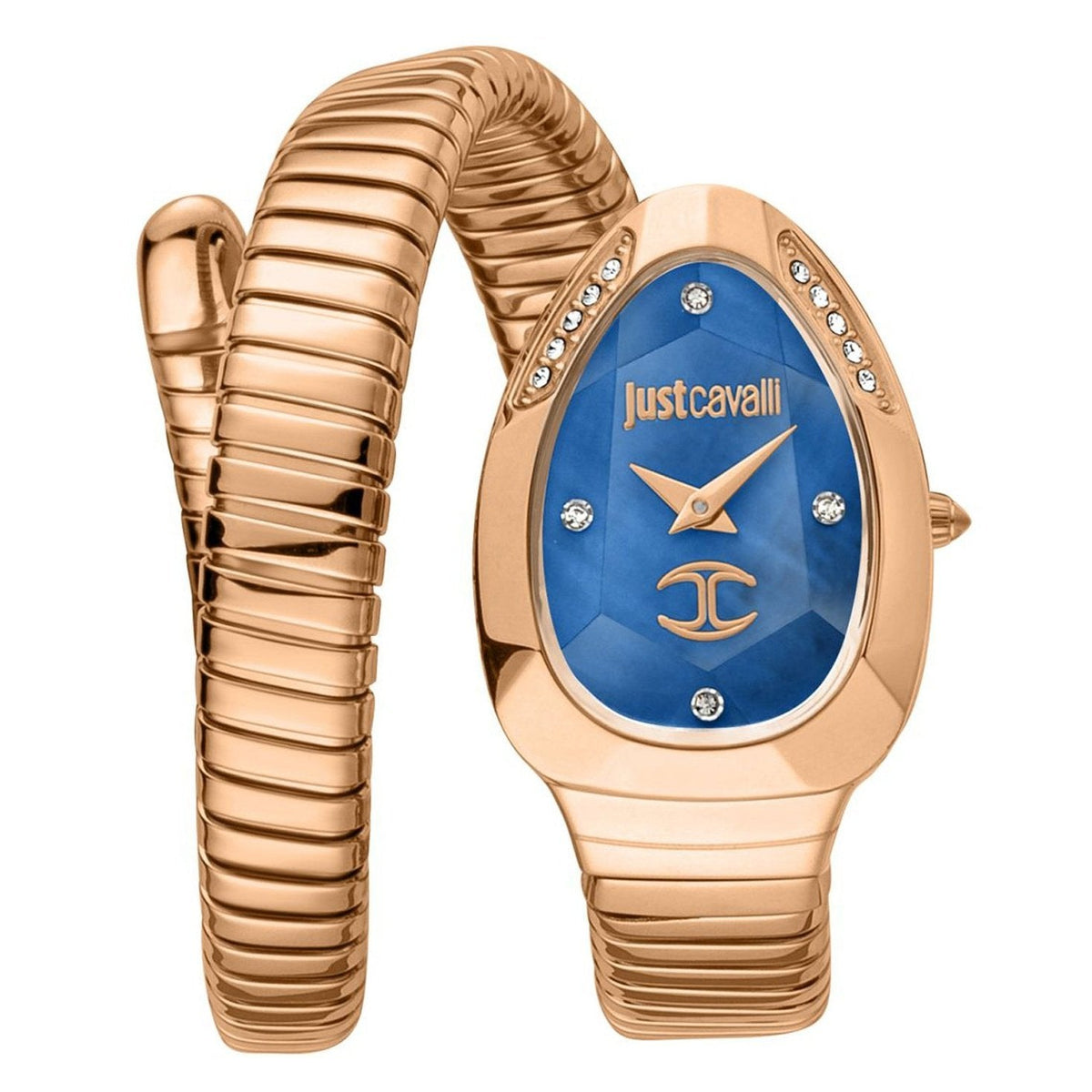 Just Cavalli Glam Evo JC1L229M0055 alternate view