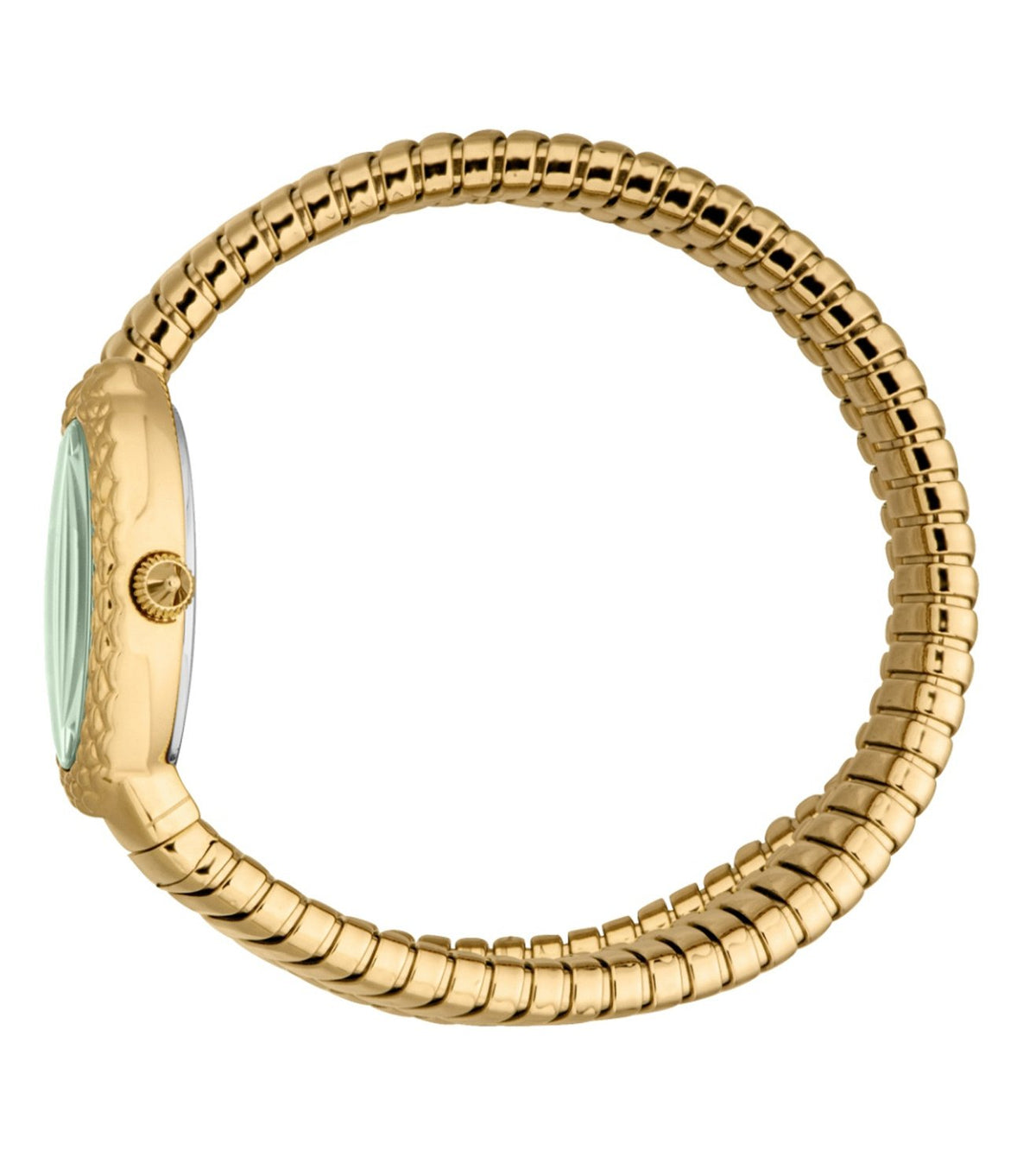 Sognia Analog Women 31 mm JC1L391M0075