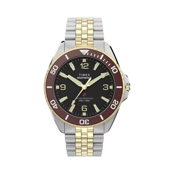 Timex Deep Water Arctic 40MM Black Dial Steel Golden Stainless Steel Strap Mens Watch TW2Y64700IK