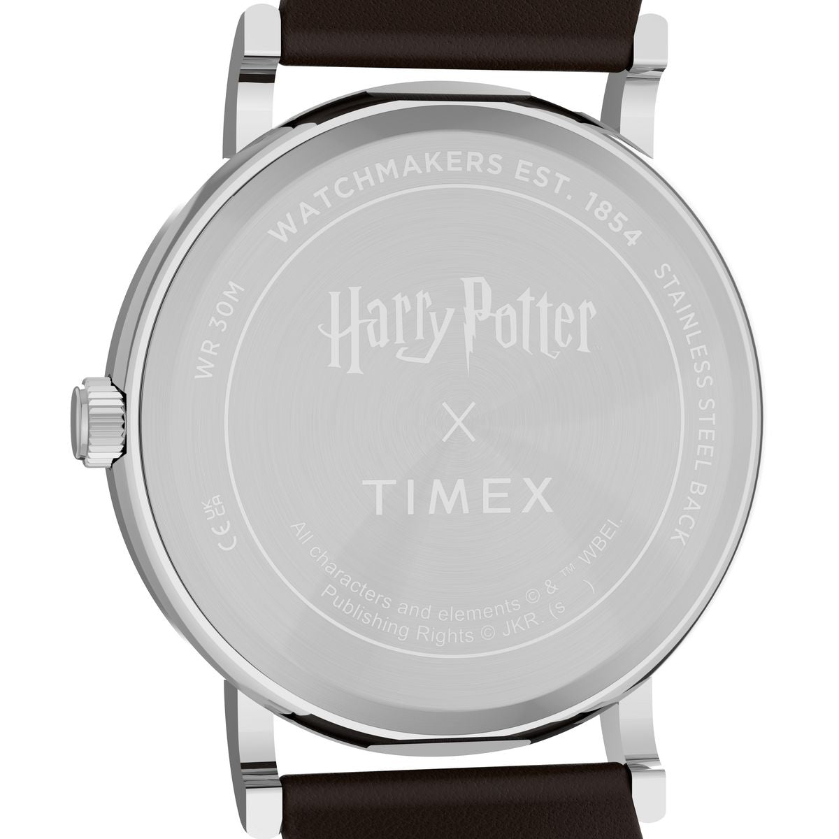 Harry Potter x Timex Weekender Slytherin House
